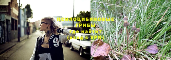 амф Абаза