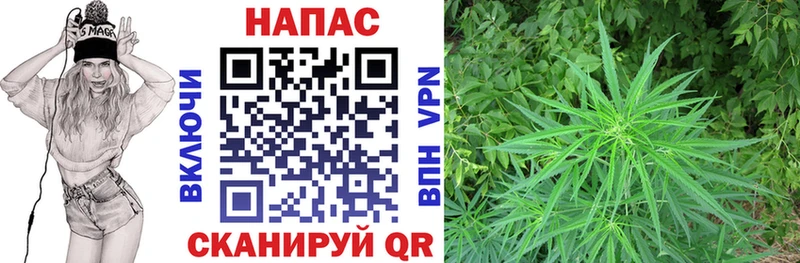 где купить наркотик  блэк спрут как зайти  МАРИХУАНА семена  Альметьевск 